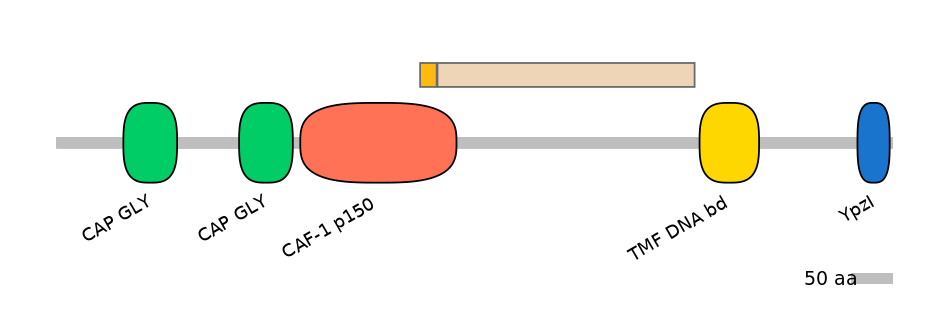 MmuEX0011703-EXC