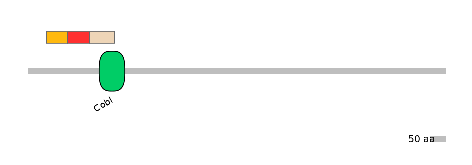 MmuEX0012050-INC
