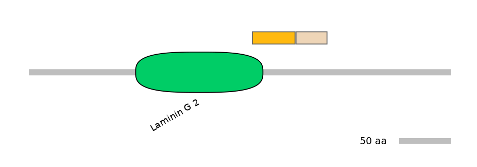 MmuEX0012121-EXC