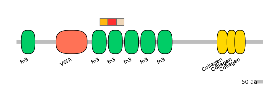 MmuEX0012204-INC