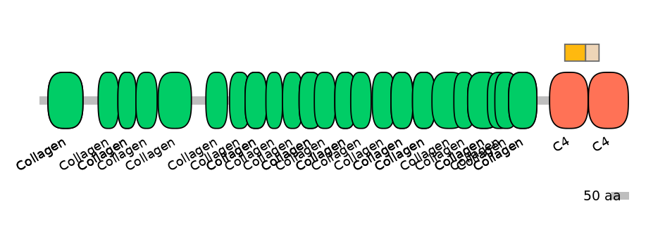 MmuEX0012279-EXC