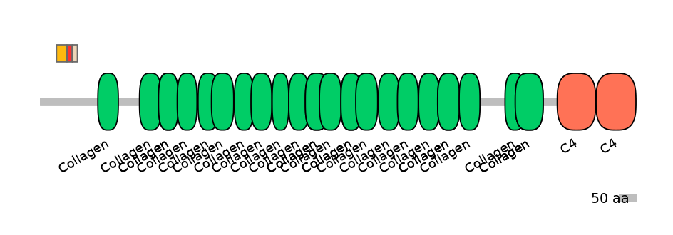 MmuEX0012300-INC