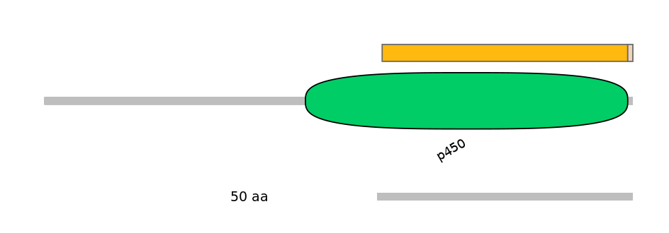MmuEX0013392-EXC