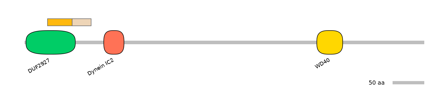 MmuEX0015955-EXC