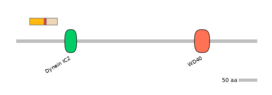 MmuEX0015955-INC