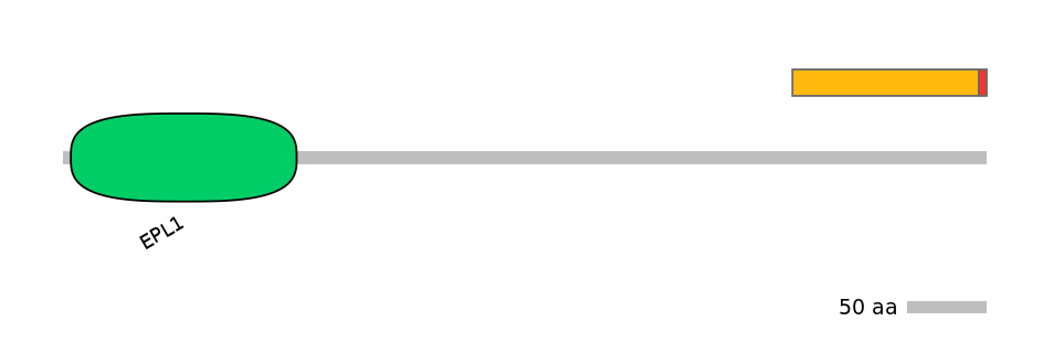 MmuEX0017049-INC