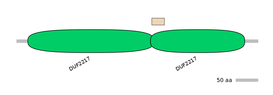 MmuEX0018452-EXC