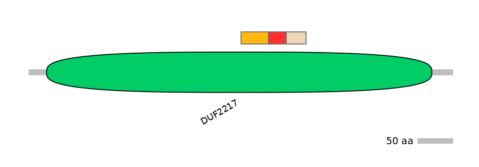 MmuEX0018452-INC