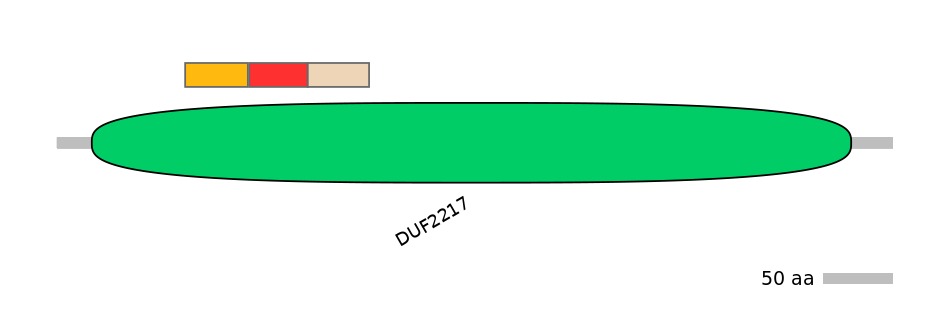 MmuEX0018453-INC