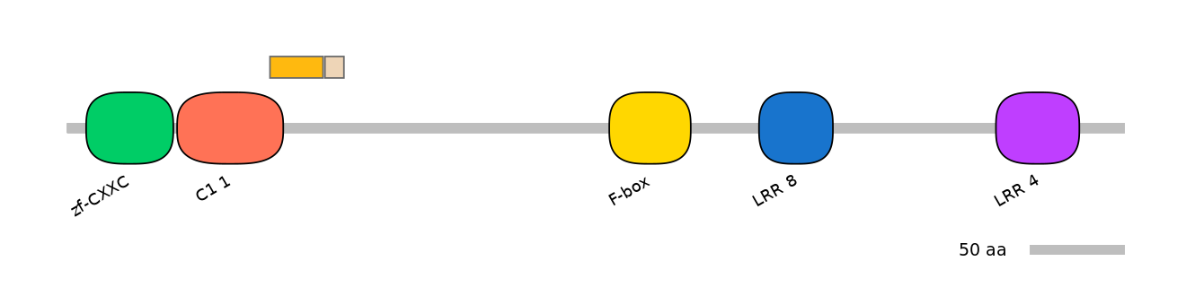 MmuEX0018784-EXC