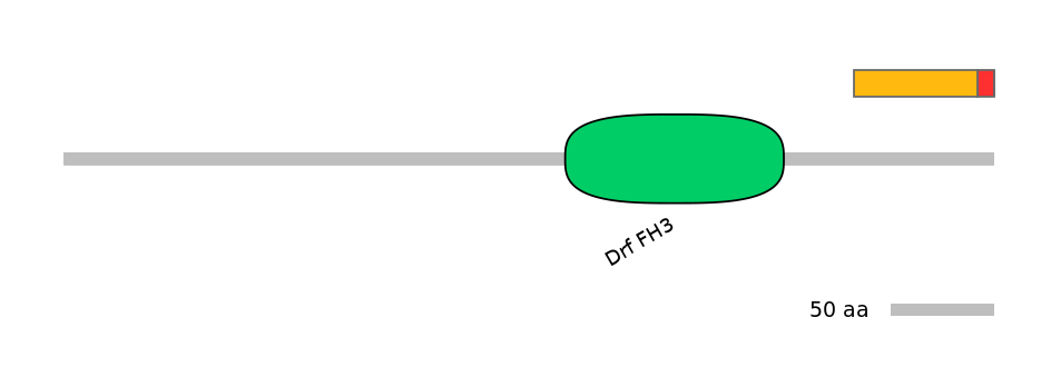 MmuEX0019231-INC