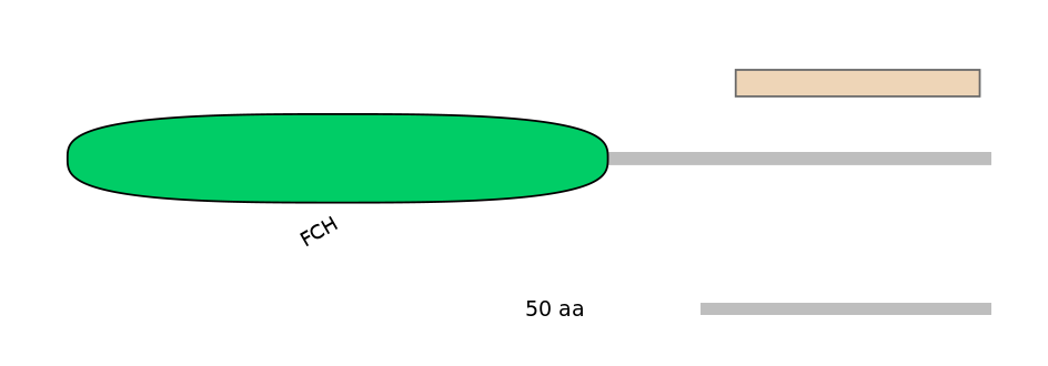 MmuEX0019439-EXC