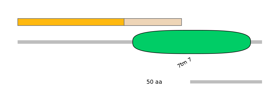 MmuEX0020649-EXC