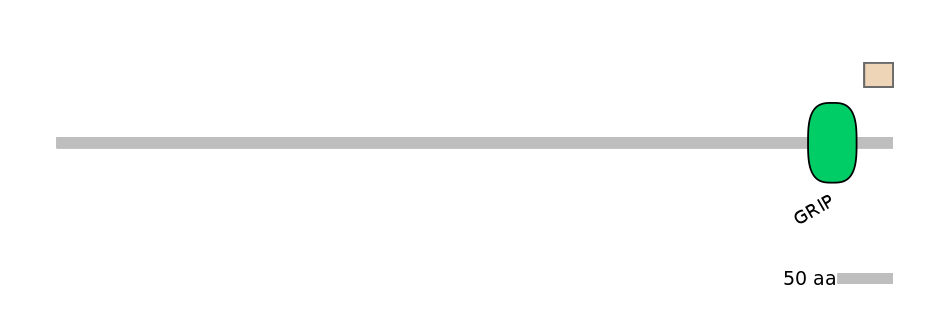 MmuEX0021408-INC