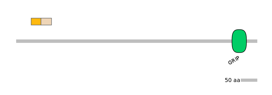 MmuEX0021412-EXC