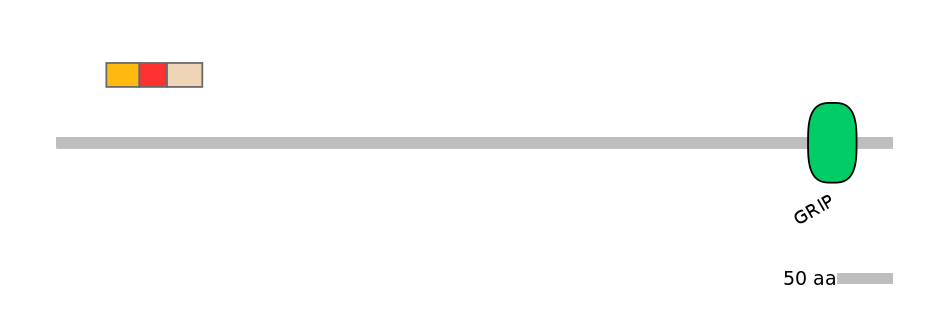 MmuEX0021412-INC