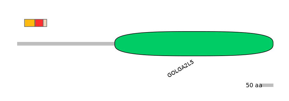 MmuEX0021419-INC