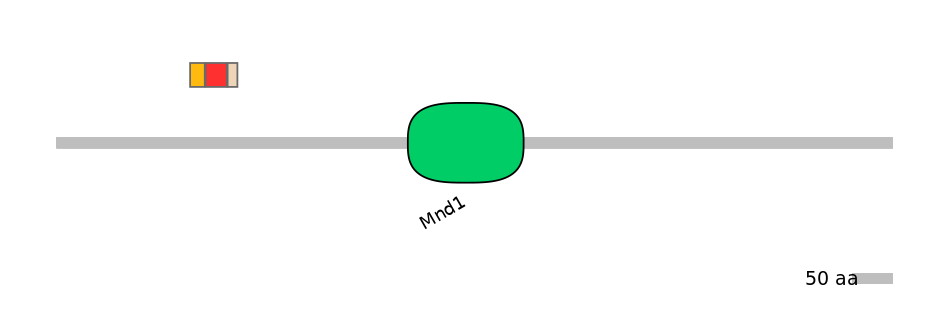 MmuEX0021420-INC