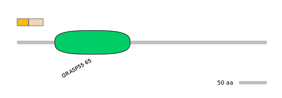 MmuEX0021494-EXC
