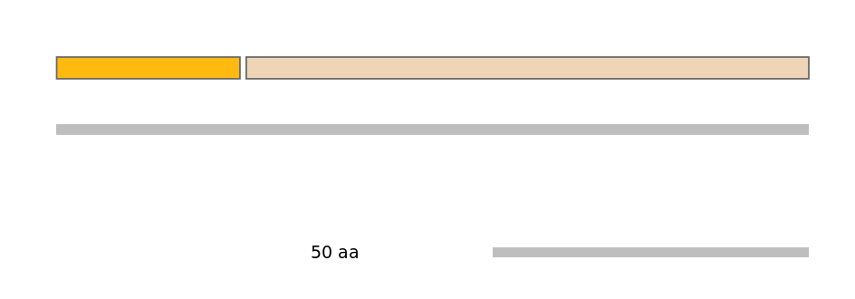 MmuEX0023196-EXC