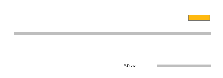 MmuEX0024603-EXC