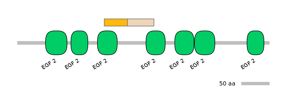 MmuEX0024698-EXC