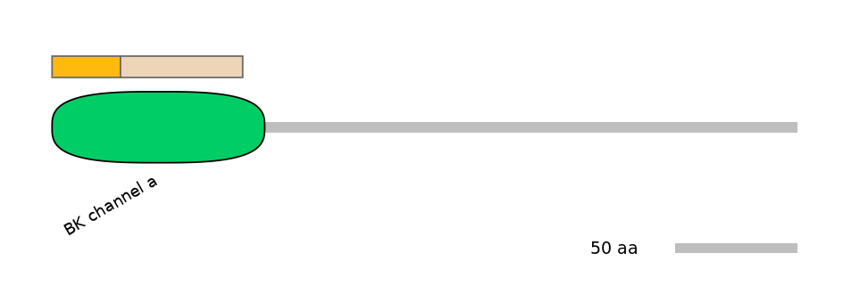 MmuEX0025179-EXC