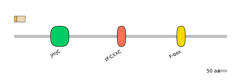 MmuEX0025276-EXC