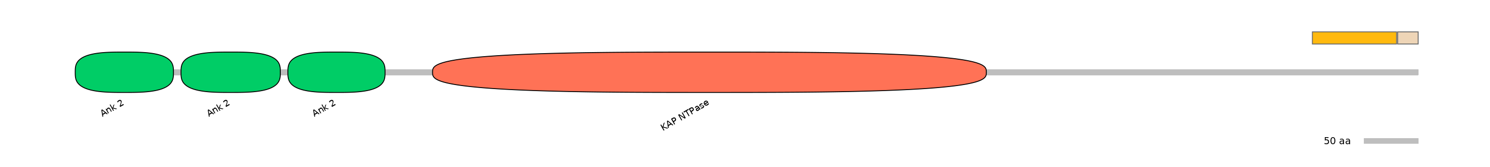 MmuEX0025395-EXC