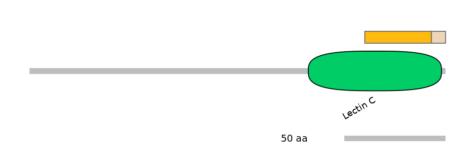 MmuEX0025829-EXC