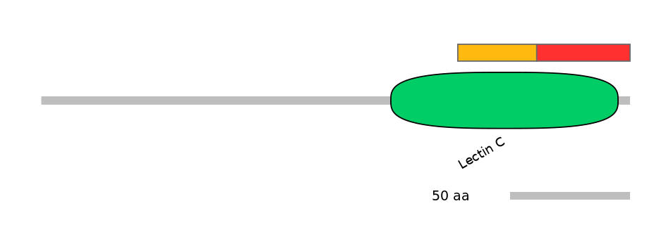 MmuEX0025829-INC