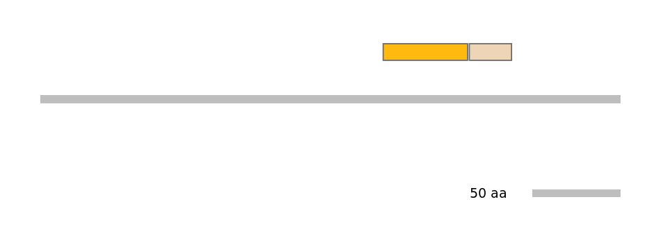 MmuEX0025972-EXC