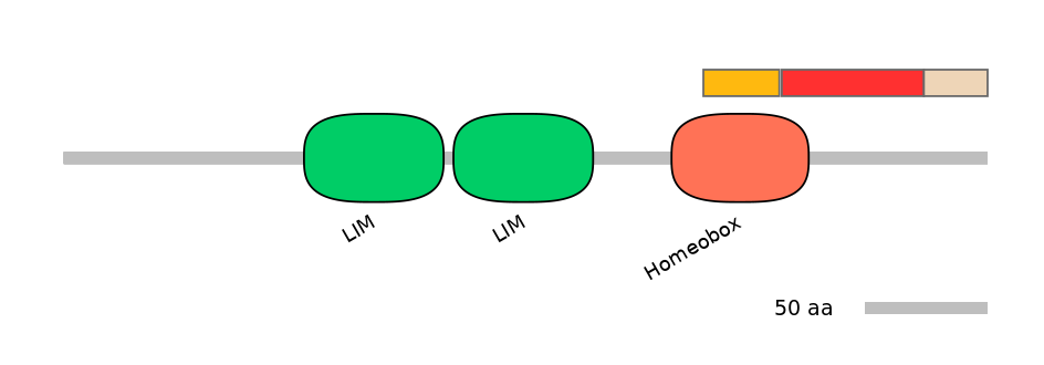 MmuEX0026399-INC
