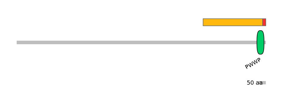 MmuEX0028078-INC