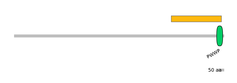 MmuEX0028086-EXC