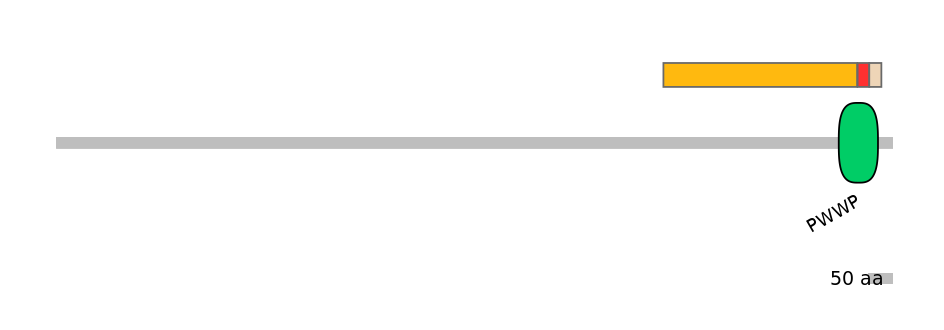 MmuEX0028086-INC