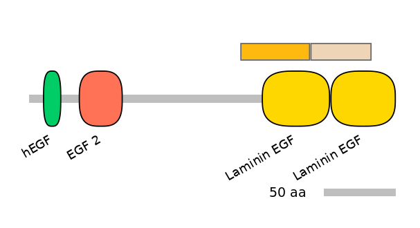 MmuEX0028582-EXC