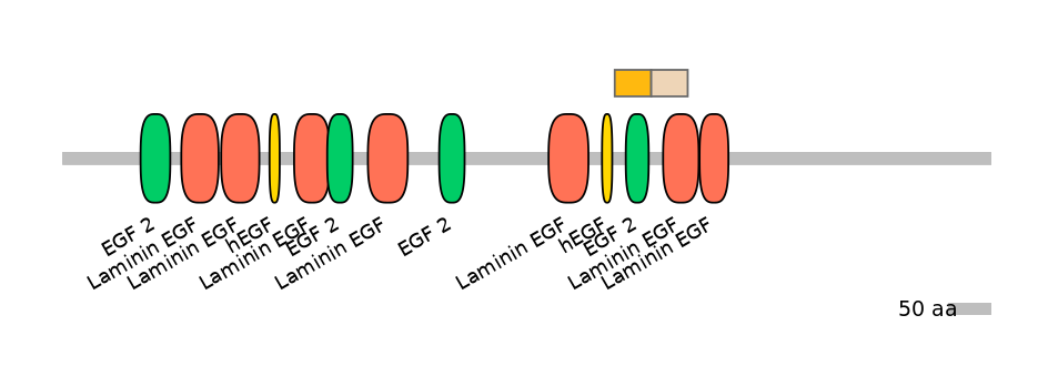 MmuEX0028584-EXC