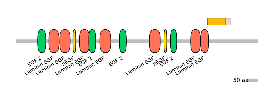 MmuEX0028588-EXC