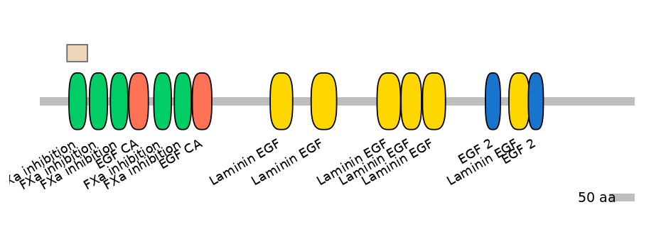 MmuEX0028596-EXC