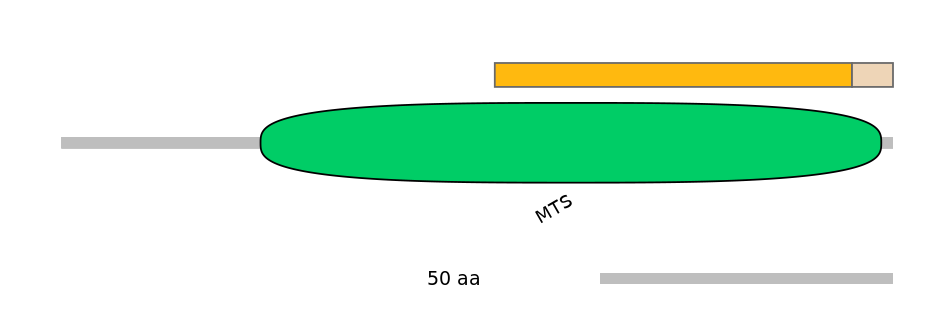 MmuEX0028758-EXC