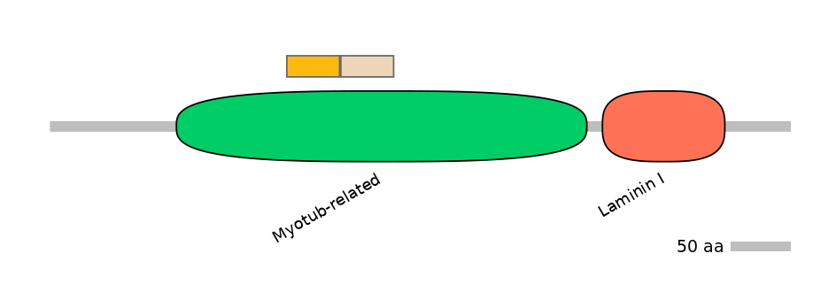 MmuEX0030102-EXC