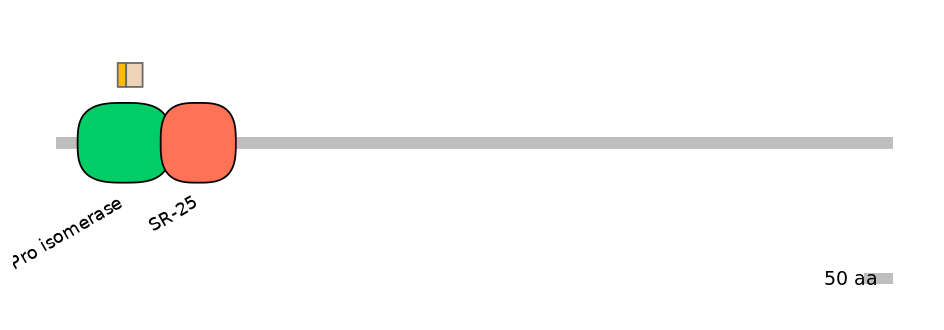 MmuEX0031809-EXC