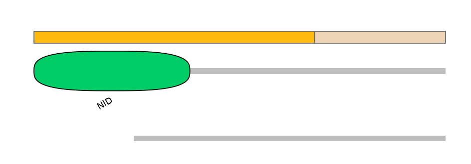 MmuEX0031905-EXC
