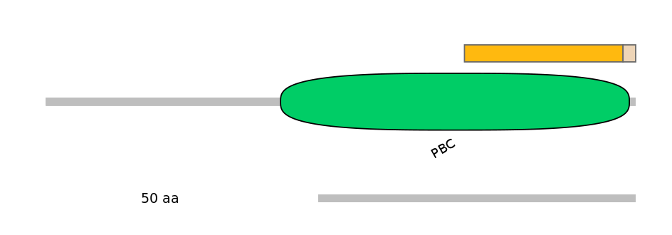 MmuEX0033851-EXC