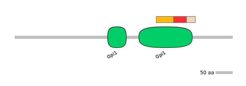 MmuEX0035080-INC