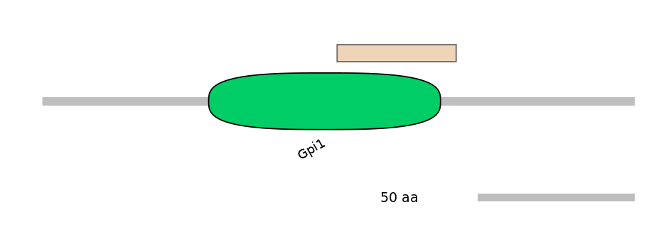 MmuEX0035084-EXC