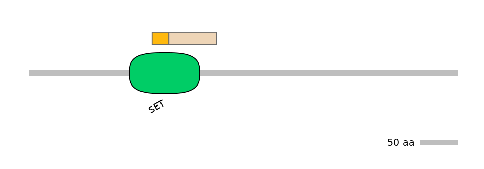 MmuEX0036943-EXC