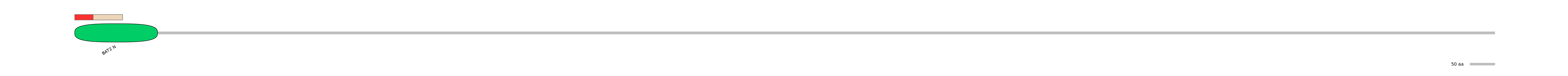 MmuEX0037406-INC