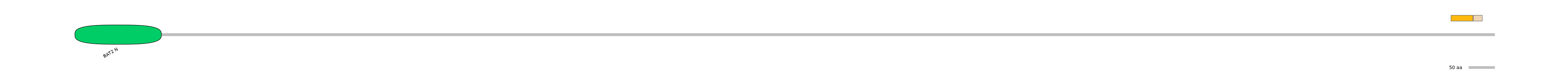 MmuEX0037412-EXC